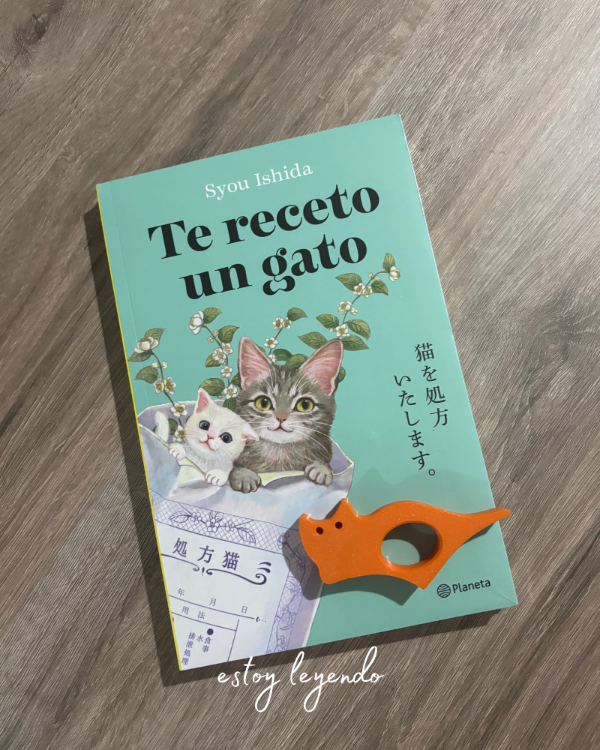 Producto - Combo Te receto un gato + sostenedor de hojas gatito 3D