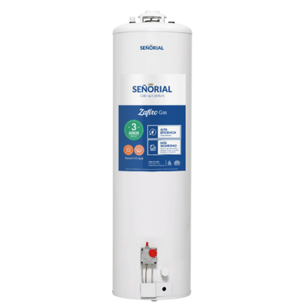 Producto - TERMOTANQUE SEÑORIAL 120LTS MULTIGAS CARGA SUPERIOR