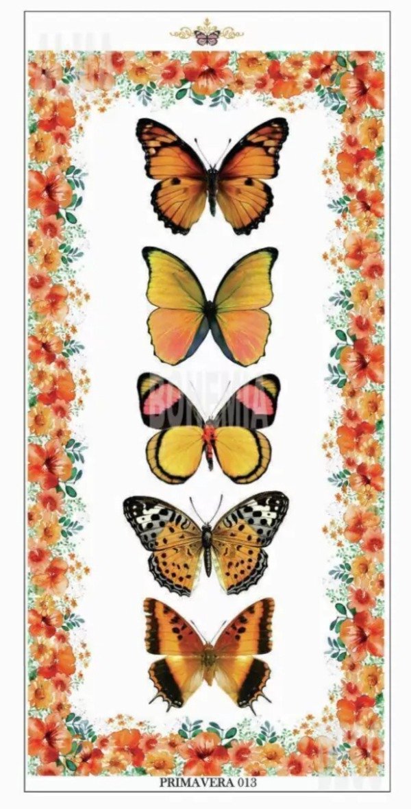 Producto - PRIMAVERA 013