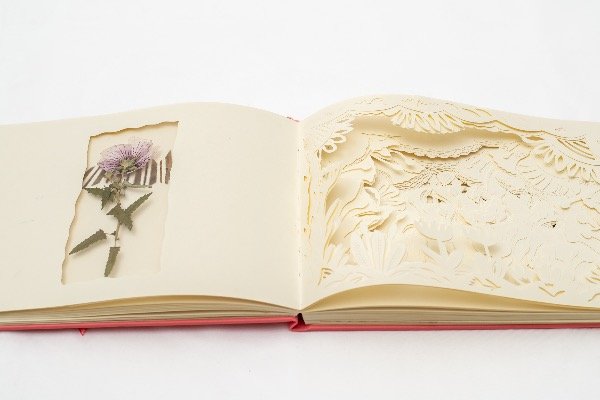 Producto - Libro sin titulo