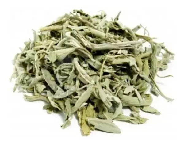 Producto - Salvia Officinalis