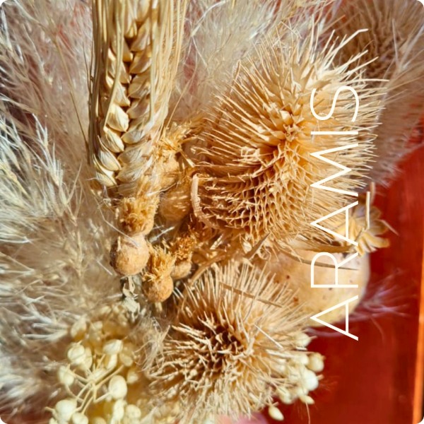 Producto - Pradera Silvestre