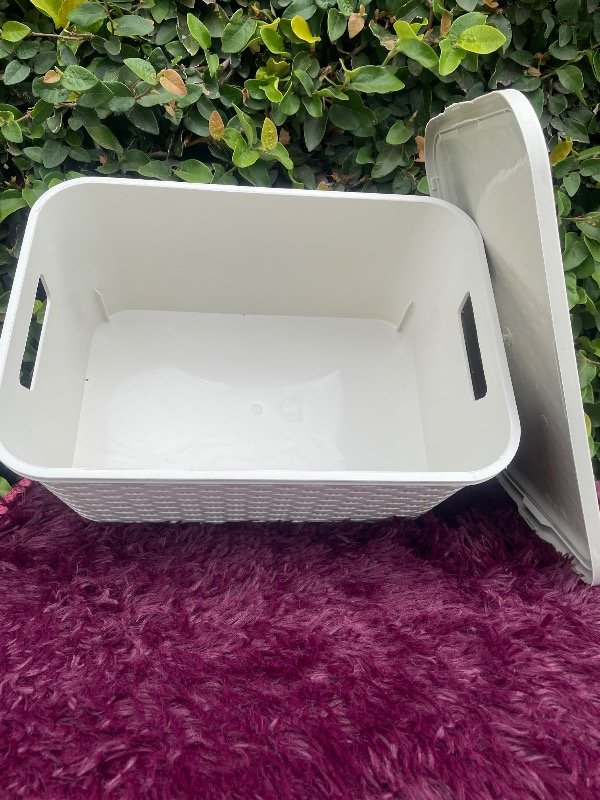Producto - Canasto simil ratan chico con tapa - 2