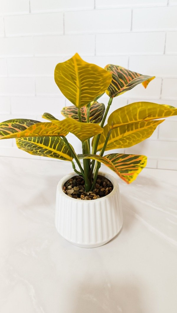 Producto - Planta 23cm