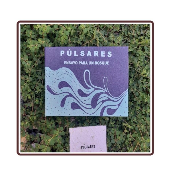 Producto - Púlsares, ensayo para un bosque.