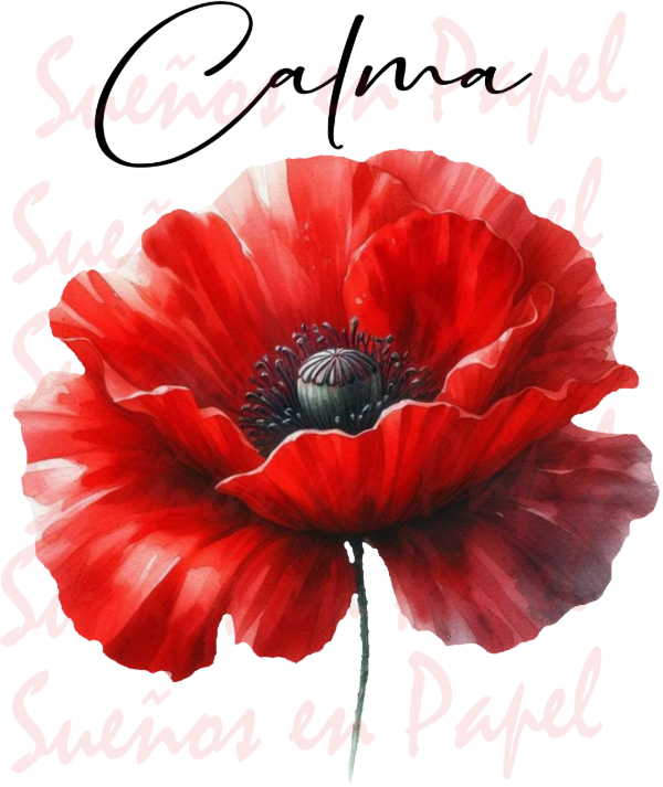 Producto - Lamina DTF DA61