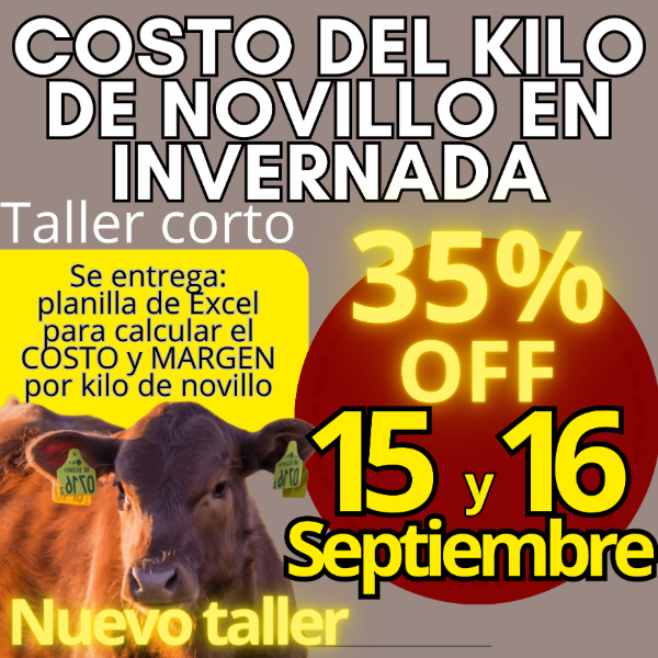 Producto - Taller corto: cálculo del costo del kilo de novillo - 0