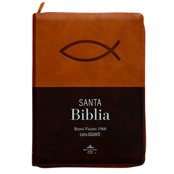 Producto - Biblia Reina Valera 1960 Letra Gigante Duo Color Café
