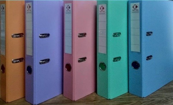 Producto - BIBLIORATOS LOMO ANGOSTO THE PEL