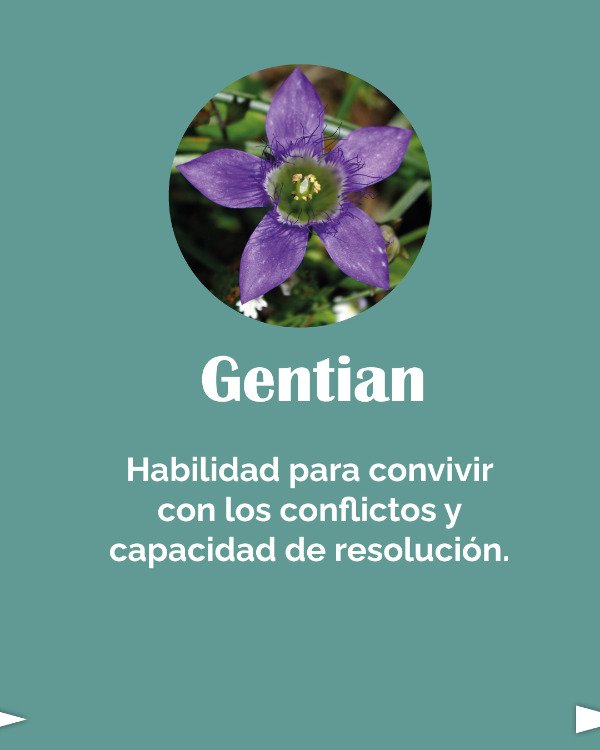 Miniatura de producto - 8