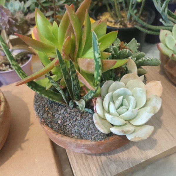 Miniatura de producto - 9