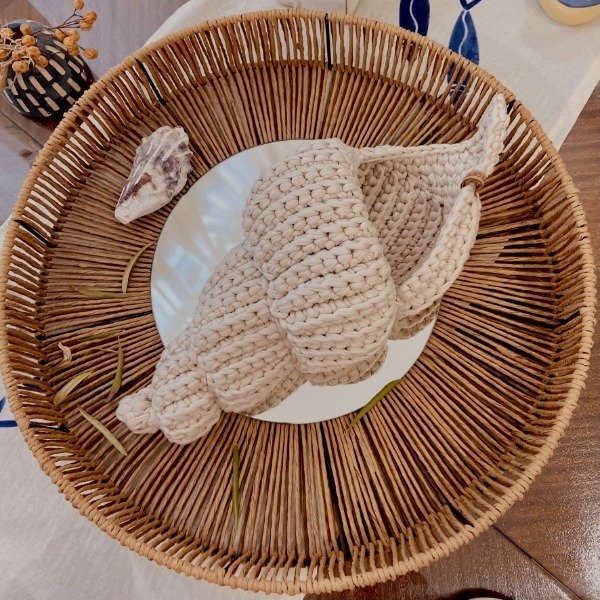 Producto - Caracolas