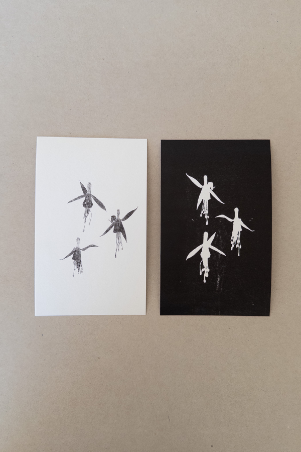 Producto - Láminas Botánicas - A5