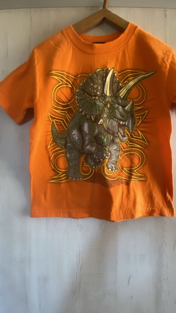 Producto - REMERA DINO/4-5 años/