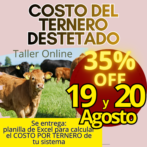 Producto - Taller Online: Costo del Ternero