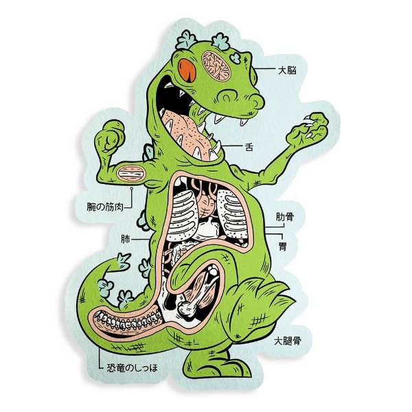 Producto - ALFOMBRA ANATOMIA REPTAR