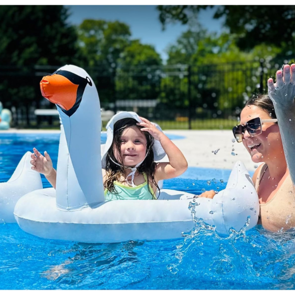 Producto - Inflable Cisne 80cm x 80cm - 0
