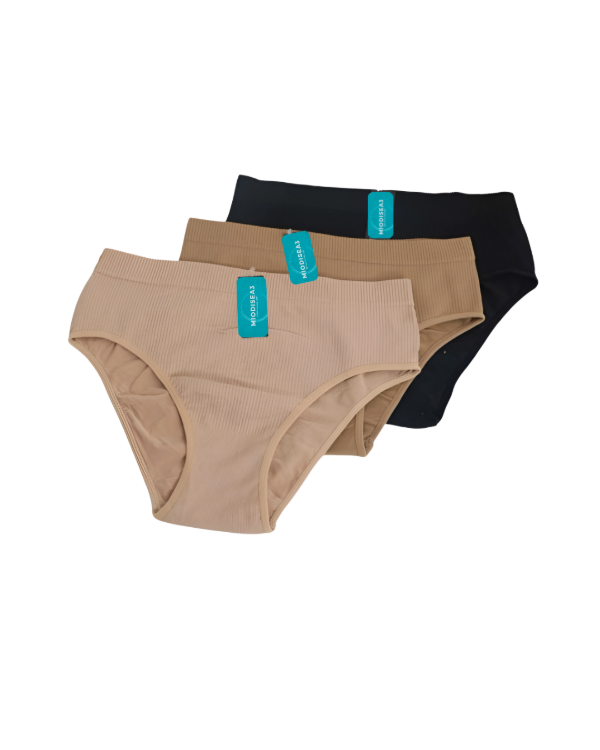 Producto - Bombacha Tiro Alto Vedetina Especial Microfibra art.2066