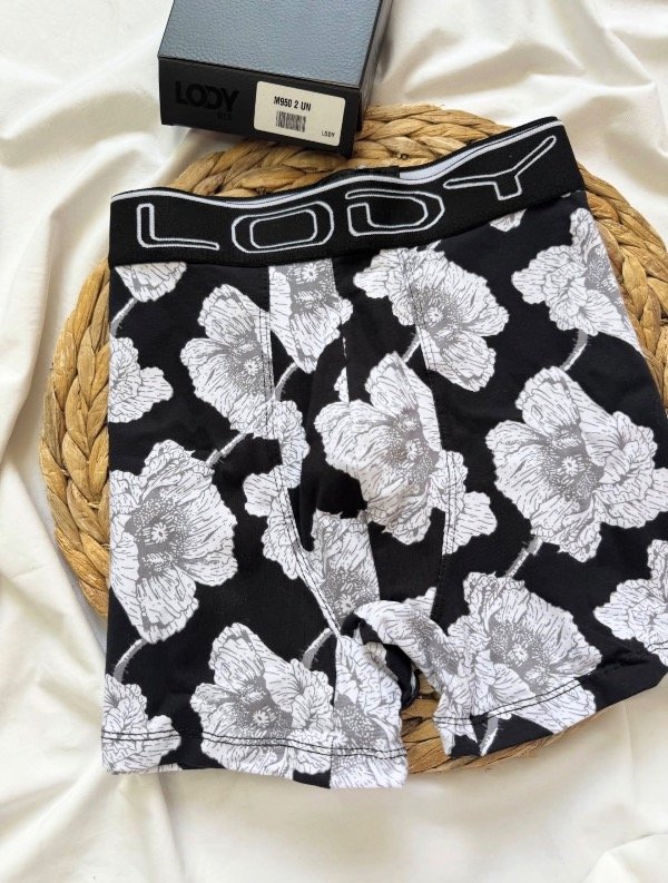 Producto - Boxer LODY 950