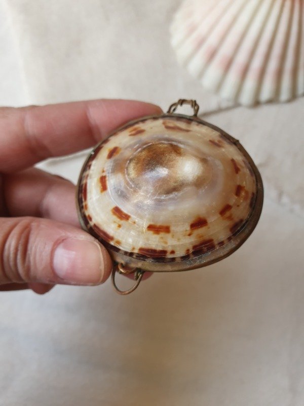 Producto - Cajita Shell