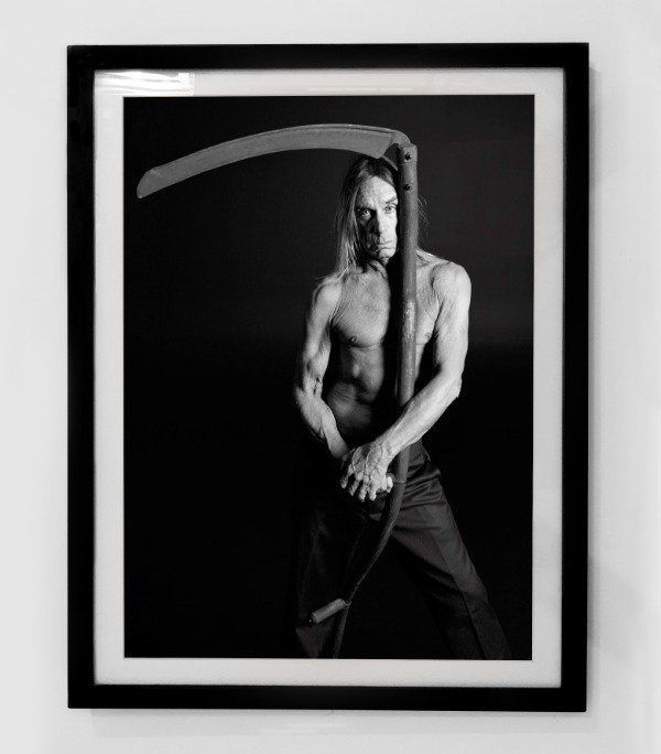 Producto - IGGY POP (Nro 25)