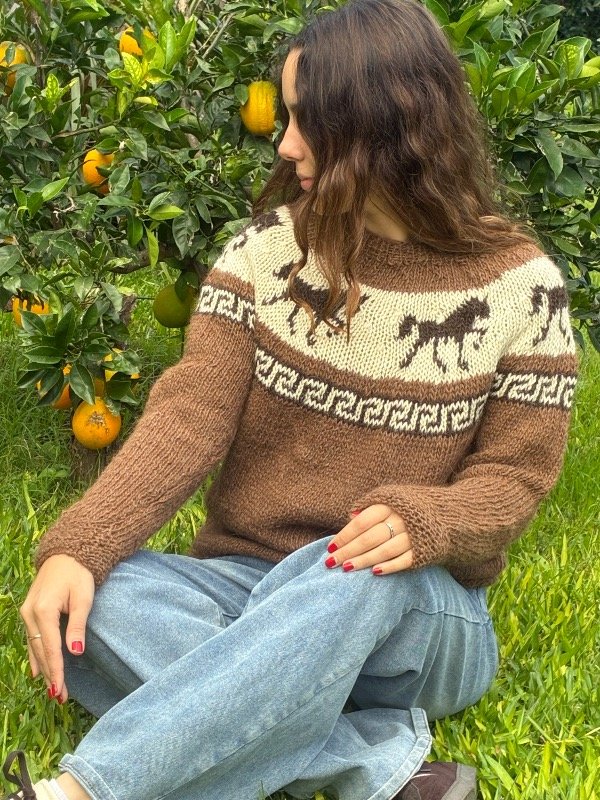 Producto - Sweater caballos
