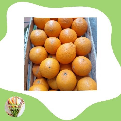 Producto - Naranjas seedless - 1kg