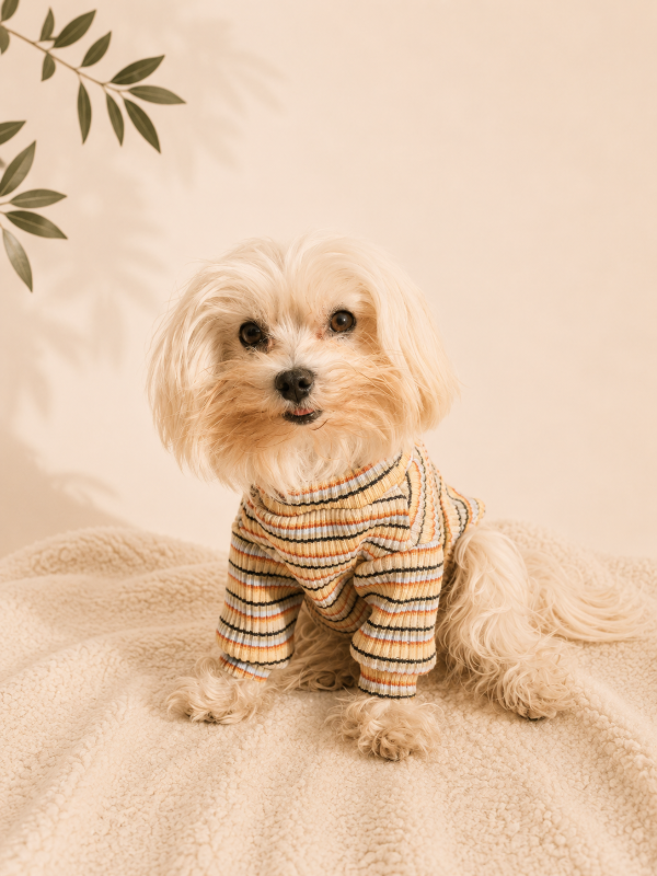 Producto - Polera Milo