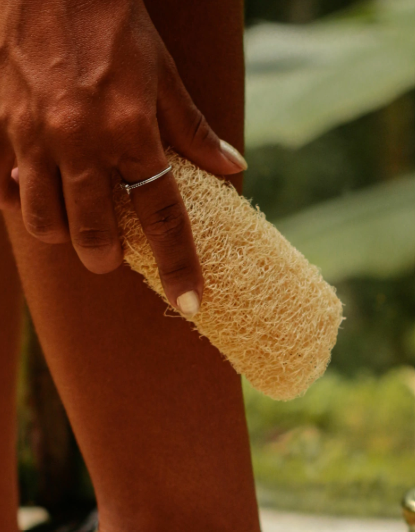 Producto - Esponja Vegetal - 0