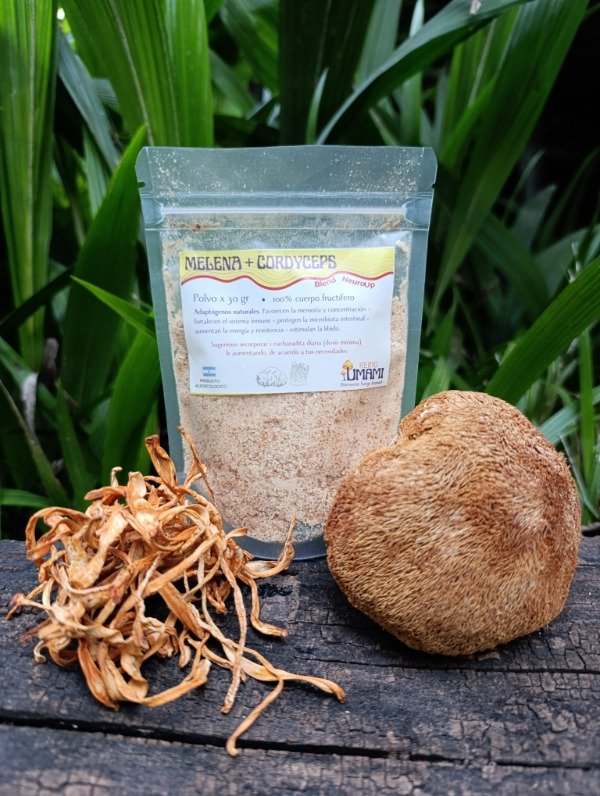 Producto - Melena + Cordyceps - Blend NeuroUp - polvo 30 gr