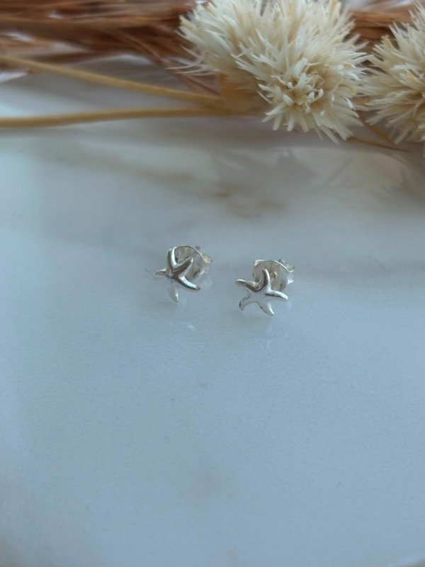 Producto - Aros Estrella Marina - 0
