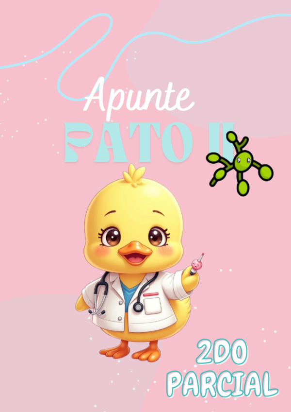 Producto - Apunte 2DO PARCIAL PATO 2