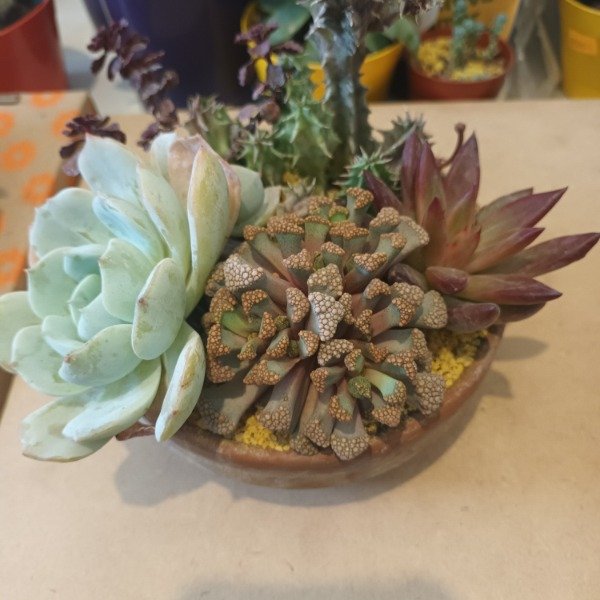 Miniatura de producto - 3