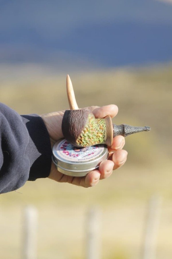 Producto - chubby musgo Bryum