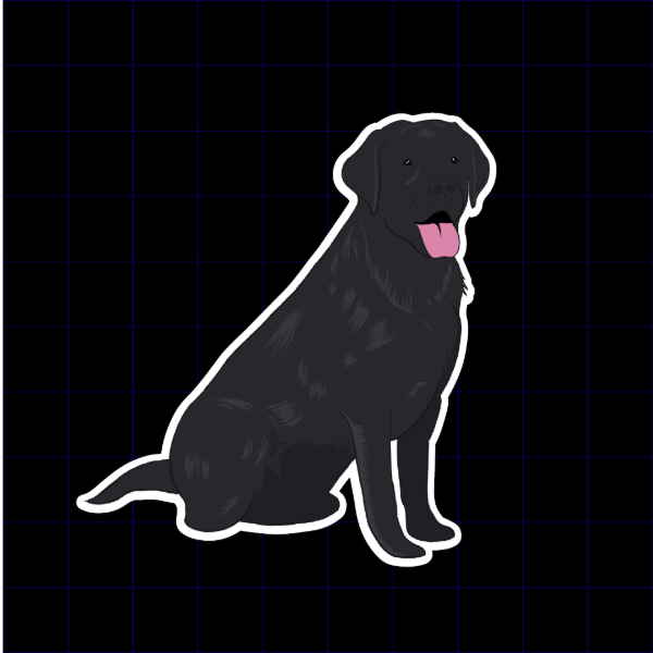 Producto - Labrador