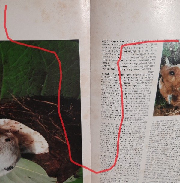 Miniatura de producto - 7