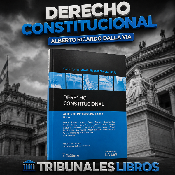 Producto - Derecho constitucional. Dalla via - 0