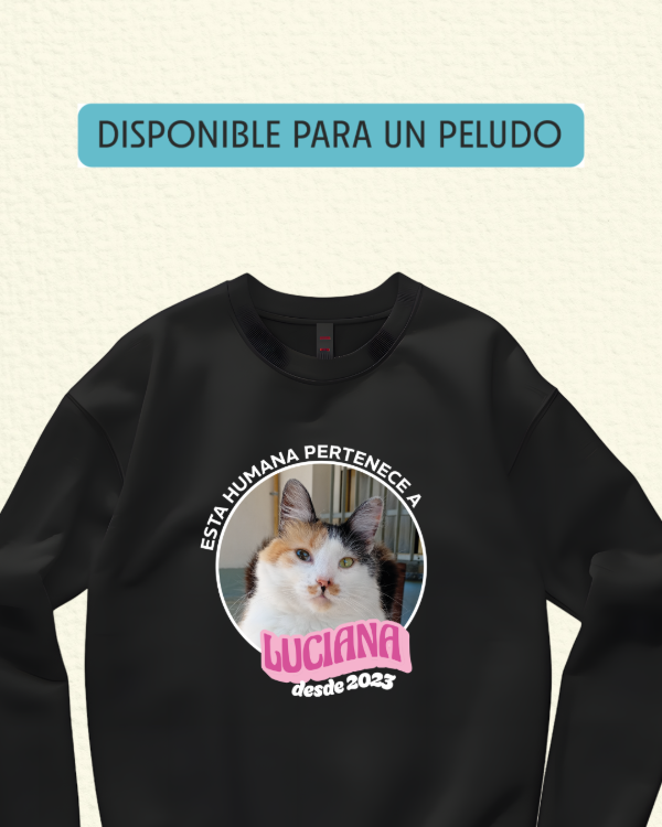Producto - Modo posesión - BUZO