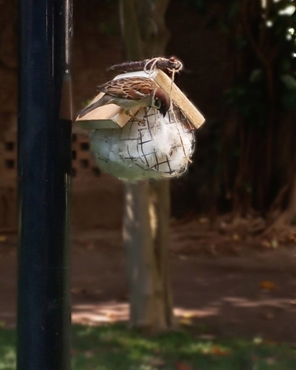 Producto - Estación para nidos calentitos "Lanita de ovejita de granja" rellenable