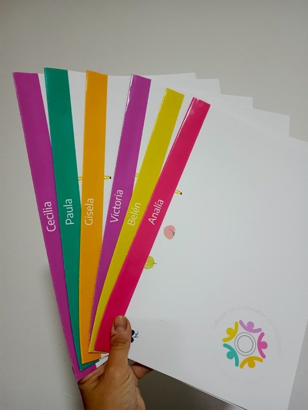 Producto - Carpeta Institucional de Preseentación