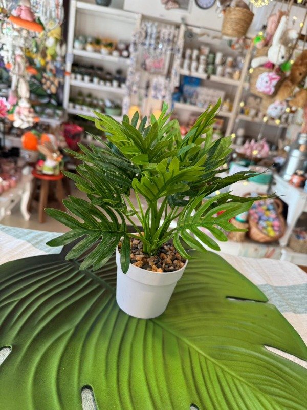 Guembe Planta Guembé 30 cm ( Efectivo: 11.120) - Secretos del Bosque