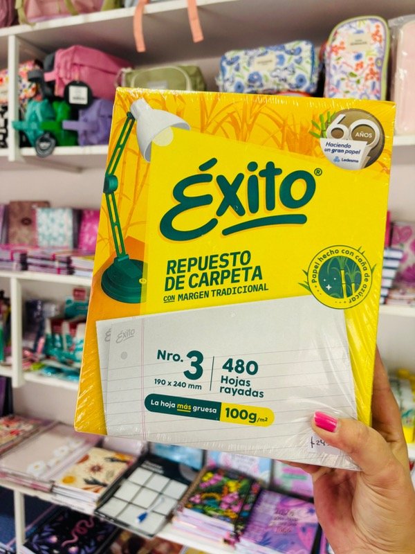 Producto - Repuesto éxito x 480