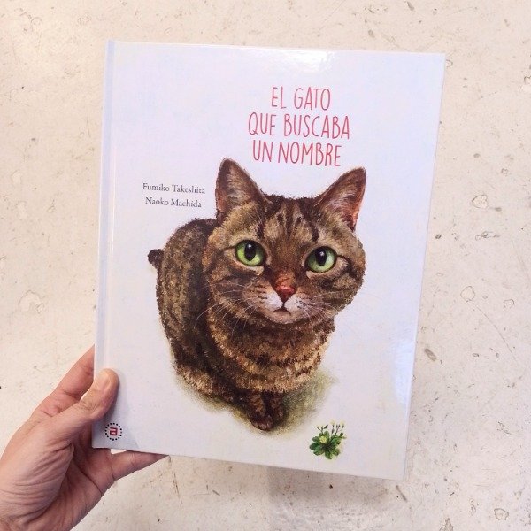 Producto - El gato que buscaba un nombre