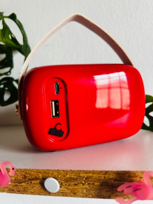 Producto - Parlante Bluetooth con diseño de Radio Vintage - 12