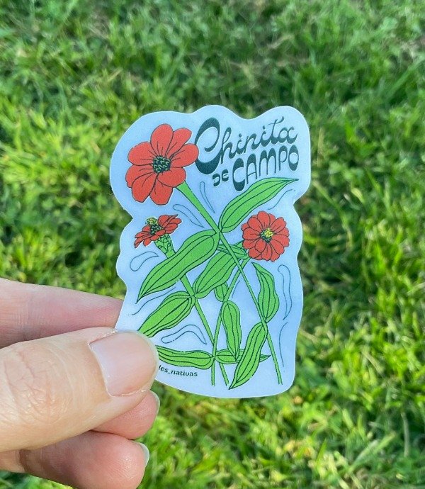 Producto - Sticker transparente UV - Chinita