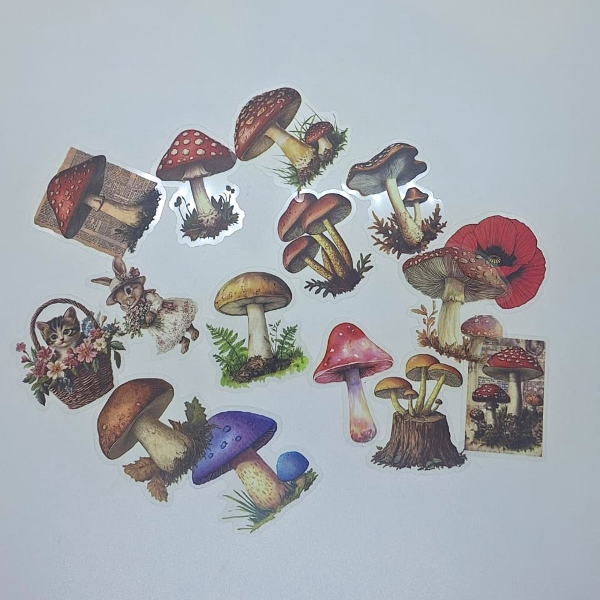 Producto - Stickers Hongos