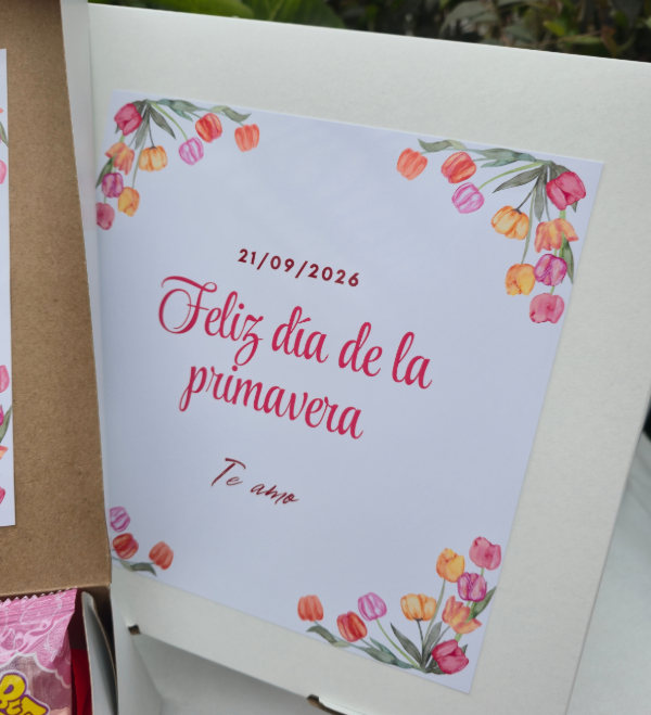 Producto - Box chanchito con flor dia de la primavera - 2