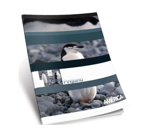 Producto - CUADERNO AMERICA X 24 HOJAS RAYADO AMERICA TAPA FLEX 16X21CM