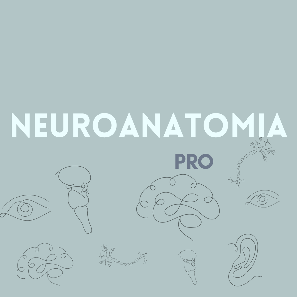 Producto - NEUROANATOMÍA PRO