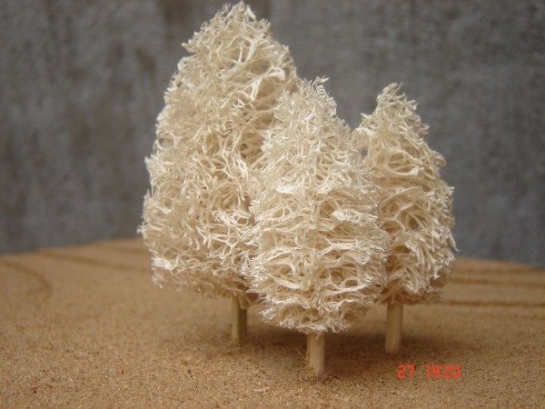 Producto - Esponja vegetal
